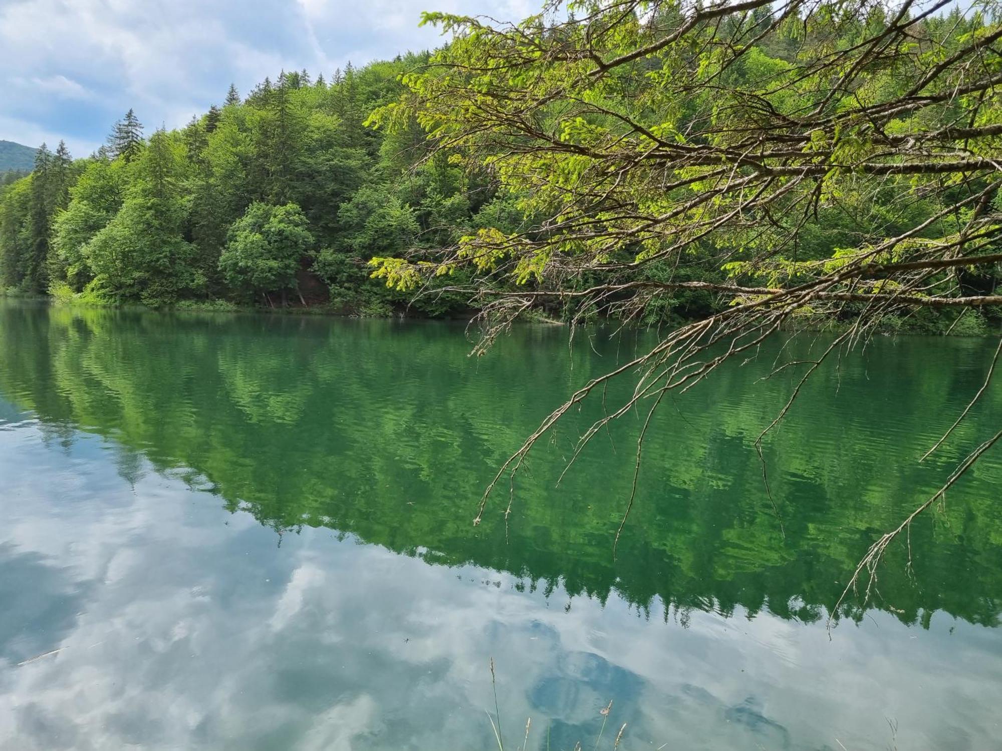 Villa Lady Di Plitvice Vrhovine Ngoại thất bức ảnh
