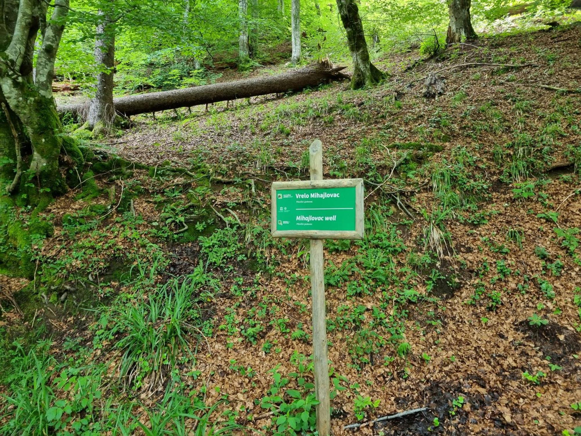 Villa Lady Di Plitvice Vrhovine Ngoại thất bức ảnh